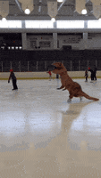 Ice Skating GIF