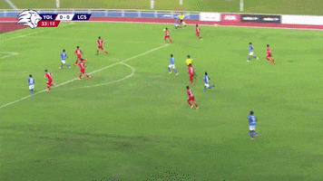 Young Lions Football GIF by 1 Play Sports