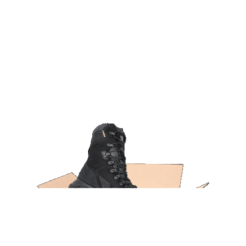 Box Caixa Sticker by palmilhado