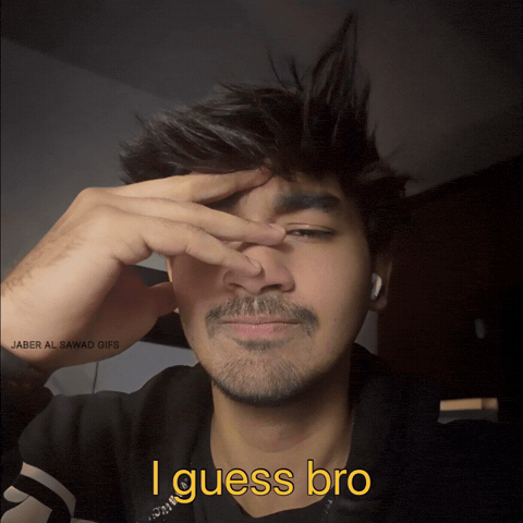 Bro Guess GIF