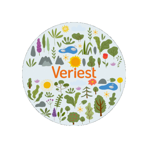 Team Event Sticker by Veriest Solutions