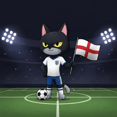 Football Soccer GIF by CATBAT