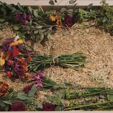 Death Taboo GIF by PBS Digital Studios