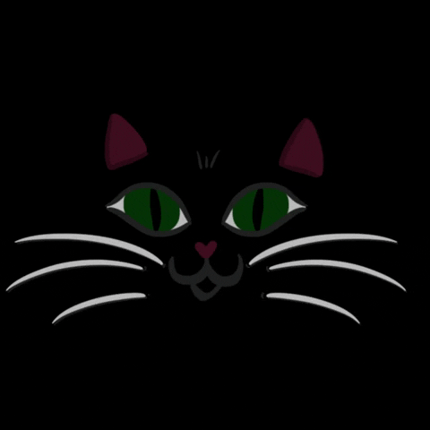 solange_algala cat halloween black spooky GIF