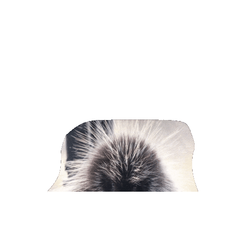 Virginia Living Museum Sticker