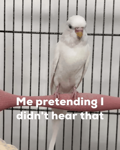 Awkward Side Eye GIF