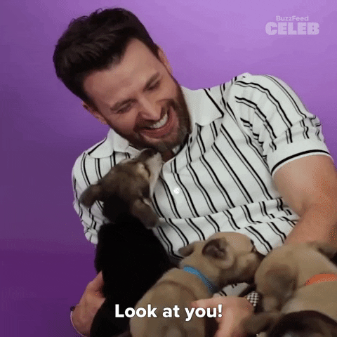 Look At You Chris Evans GIF by BuzzFeed