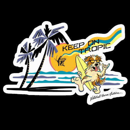 Travel Beach GIF by CORAL RESORT VILLA aoshima