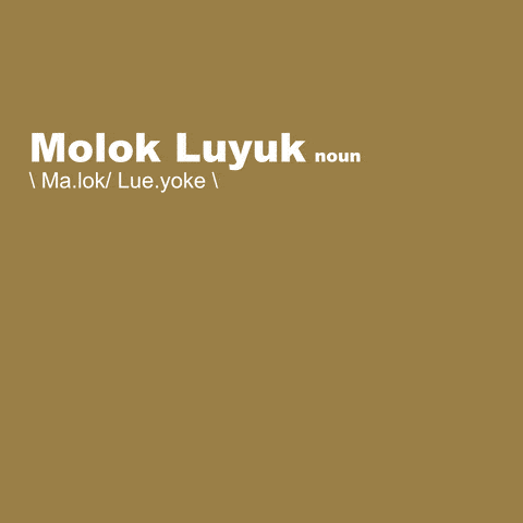 Molok Luyuk: translates to “Condor Ridge'' in the Patwin language.
These public lands are located on the eastern edge of the current monument and are sacred to the Yocha Dehe Wintun Nation.
Molok Luyuk deserves permanent protection.