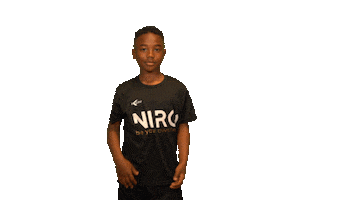 Niro Legacy Sticker