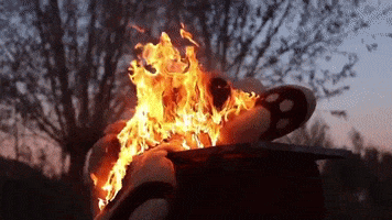 200.gif?cid=fc005b08cbf48dc60db3cd8ddbc1b1f0783278fa53dd78e1&rid=200.gif&ct=g