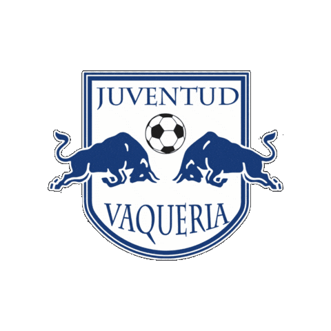 Futbolsanjavier Sticker