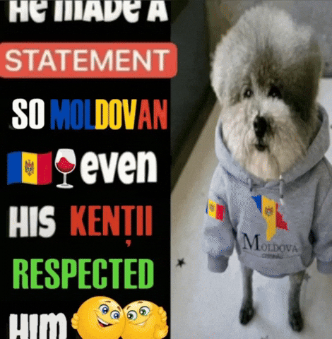 Romania Moldova GIF