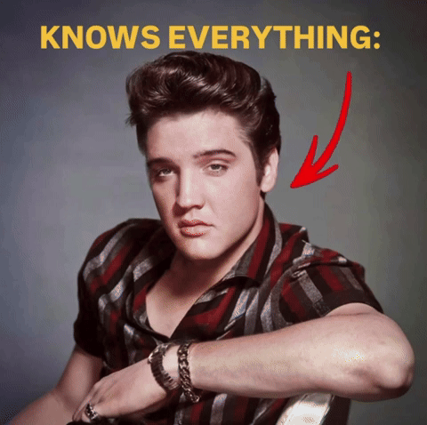Elvis Presley GIF