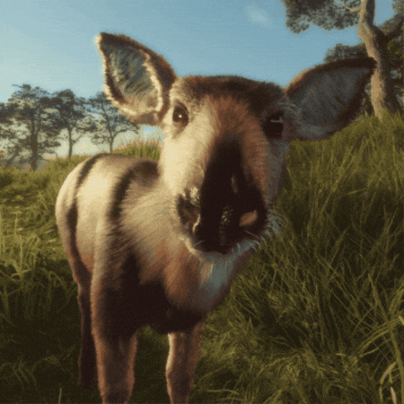 GIF by theHunter: Call of the Wild (Official)