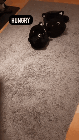 Hungry Best Friends GIF