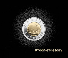 Toonie Tuesday GIF