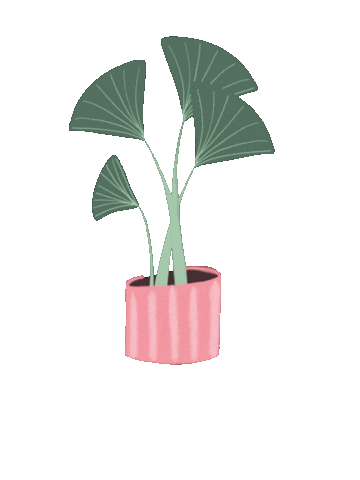 Pink Sticker