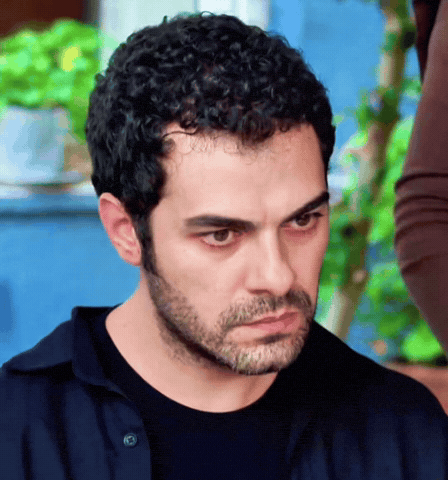 Actor Turkish GIF