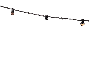 Stagelight den Bosch Sticker