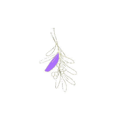 Animated Sticker