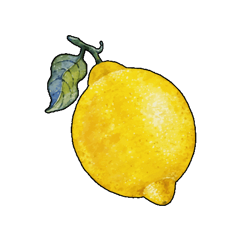 V-SINNE GIN Sticker