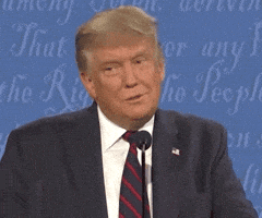 Donald Trump Lol GIF by Election 2020