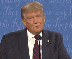 Donald Trump Laugh GIF by Election 2020