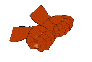 Affection Caff Sticker by The Grateful Dog LA