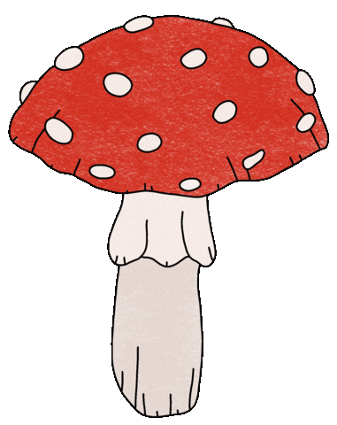 Mushroom Fliegenpilz Sticker