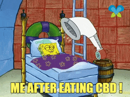Spongebob Squarepants Dreaming GIF by Imaginal Biotech