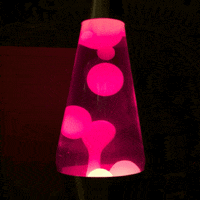 80s photography GIF 80s photography GIF