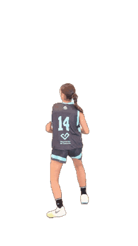 Baloncesto Andalucía Sticker