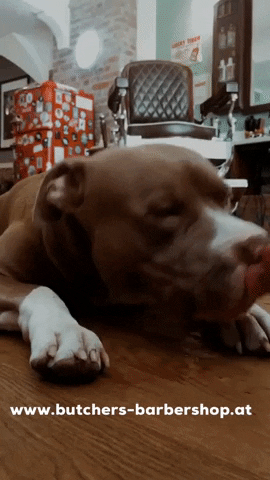 Butcher‘s Barbershop GIF