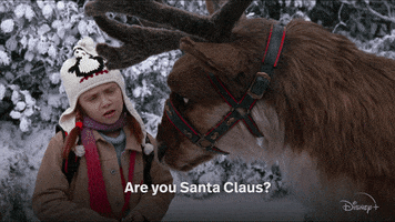 Santa Claus Reindeer GIF by Disney+