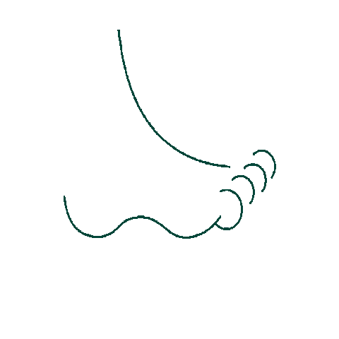 Feet Insoles Sticker by Walk Fulton