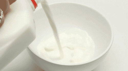 Milk GIF - Find & Share on GIPHY