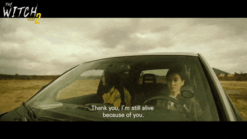 The Witch Drive GIF by Signature Entertainment