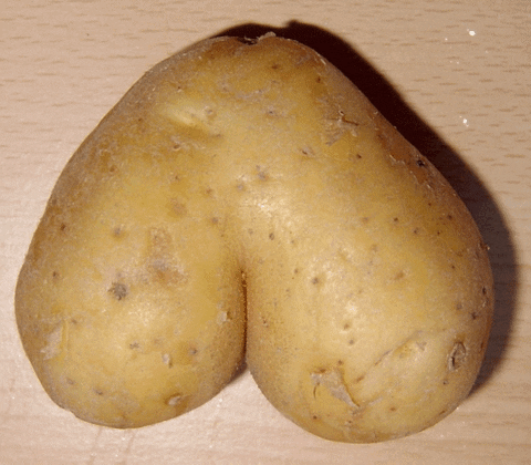 Giphy - potato moving GIF