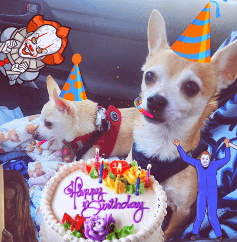 Happy Birthday Nat GIF