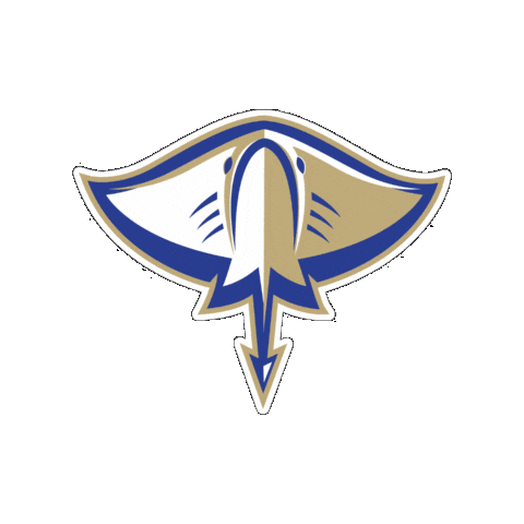 Lets Go Rays Sticker by Divine Savior Academy