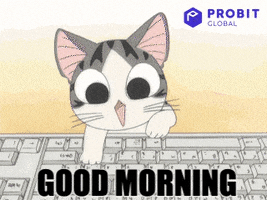 Good Morning Cat GIF by ProBit Global