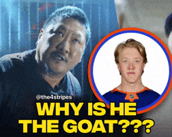 New York Islanders Hockey GIF