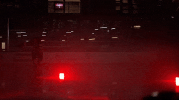 Ice Hockey GIF by Norwich University