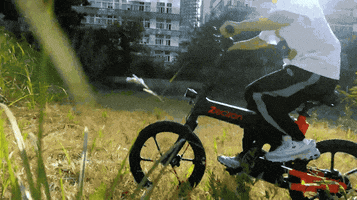 Ebike GIF