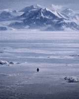 Penguin Mountains GIF