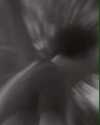 Indian Army India GIF