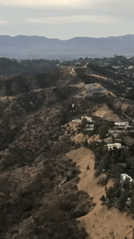 Balloon GIF