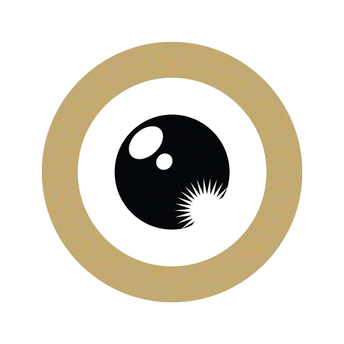 Zurich Film Festival Sticker