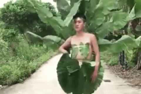 giphy.gif?cid=5e214886f5efb494dce8bd8329